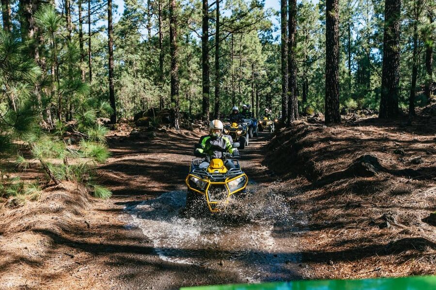 From Costa Adeje: Mount Teide Forest Off-Road Quad Bike Tour - Why This Quad Ride Works in Tenerife