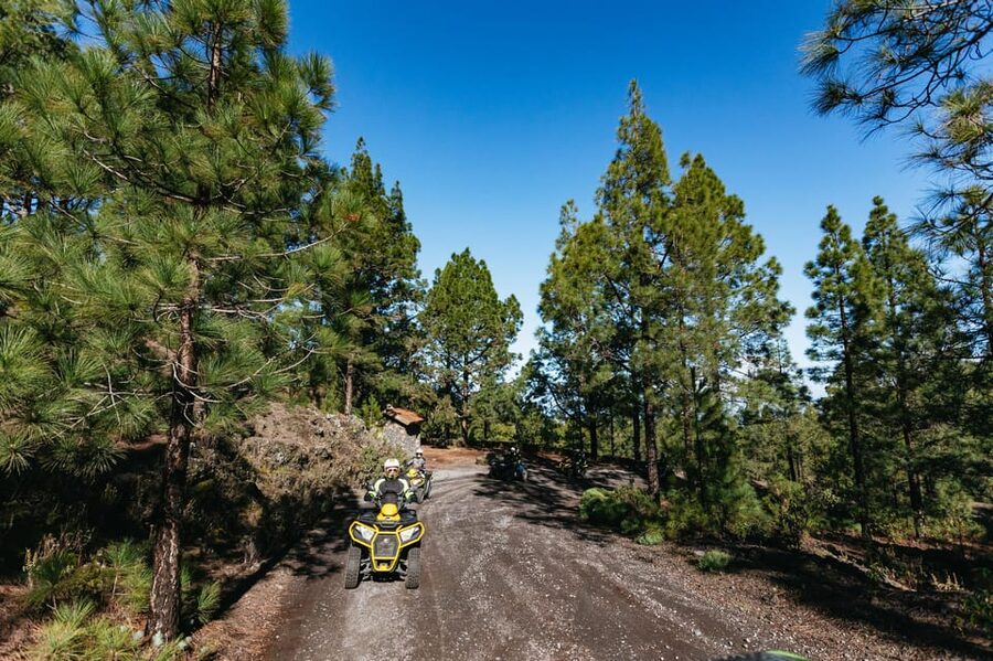 From Costa Adeje: Mount Teide Forest Off-Road Quad Bike Tour - Three Hours in Teide National Park: Pines, Viewpoints, and Lava