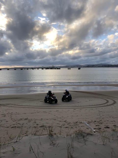 From Lisbon: Atlantic Coast Guided Quad Bike Tour - Forest fauna, indigenous plants, and working farmland culture