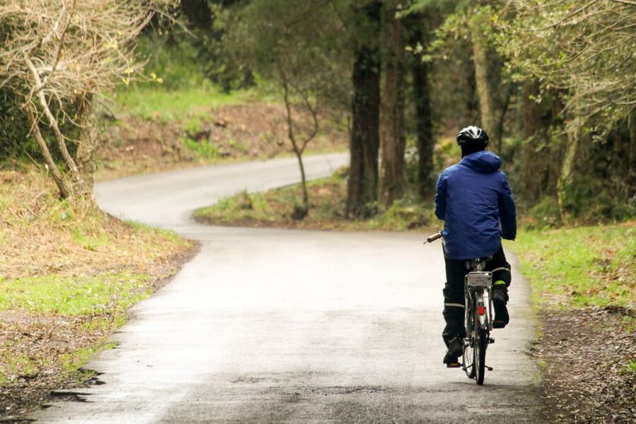 From Lisbon: Sintra to Cascais Full-Day Guided E-Bike Tour - The Climb to Peninha Sanctuary: Views That Justify the Effort