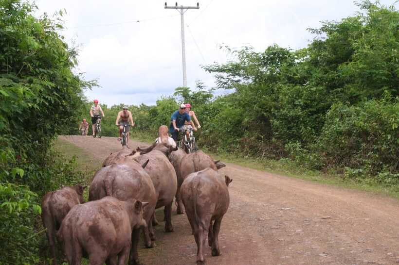 From Luang Prabang: Guided Mountain Bike Tour with Lunch - Who should book this and who should skip it