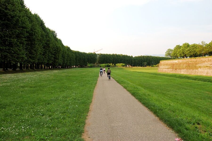 From Lucca to Pisa: Self-Guided Bike Tour - Key Points to Know Before You Ride