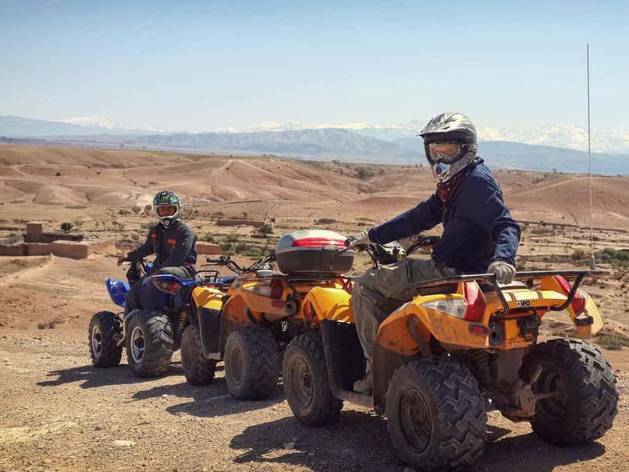 From Marrakech: Adventure Quad Ride in La Palmeraie - Price and value: is $58 for 4 hours a good deal?