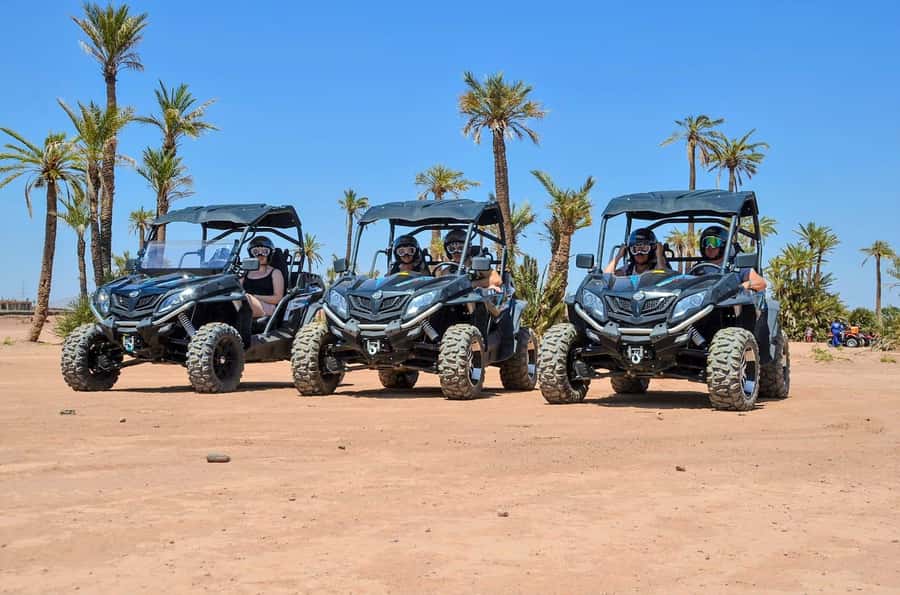 From Marrakech: Palm Grove Quad Bike Tour with Mint Tea - Driving Through the Palm Grove: The Oasis Contrast You’ll Feel
