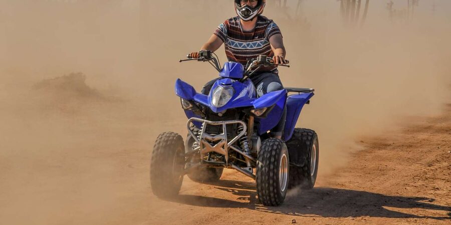 From Marrakech: Palm Grove Quad Bike Tour with Mint Tea - Berber Camp Mint Tea Break (Plus What People Often Get With It)