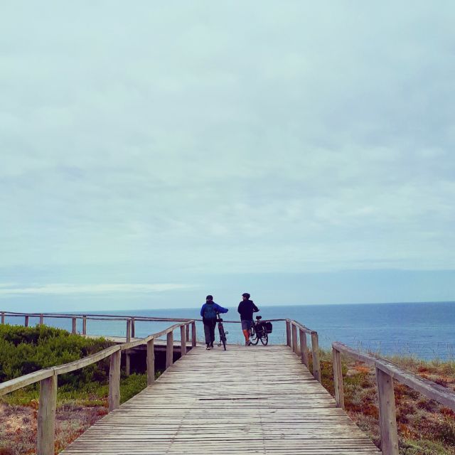 From Nazaré: Self-Guided Half-Day or Full-Day E-bike Rental - Choosing Your E-Motion Nazaré Bike: Urban vs Mountain (and Kids)