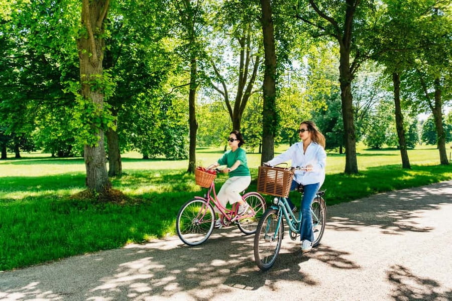 From Paris: Skip-the-Line Palace of Versailles Bike Tour - Key highlights at a glance