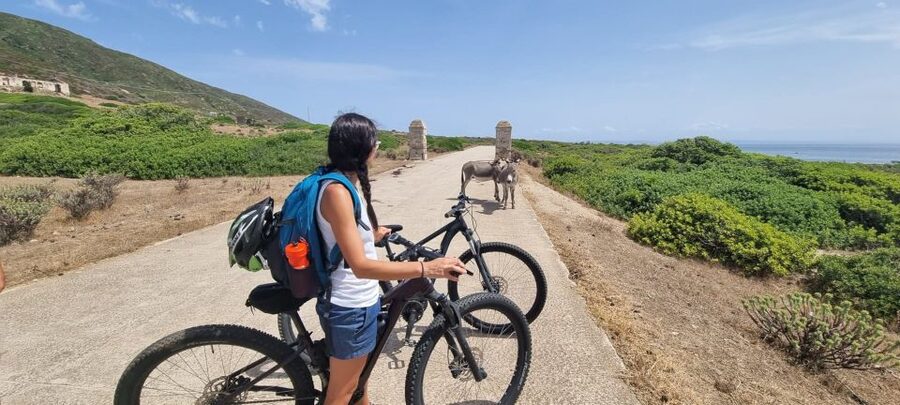 From Porto Torres: E-Bike Rental - Key Points to Know Before You Go