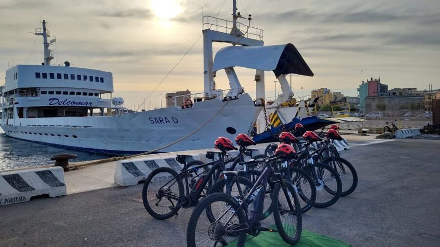 From Porto Torres: E-Bike Rental - Booking Tips for a Smooth Start at the Harbor
