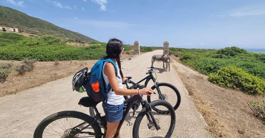 From Porto Torres: E-Bike Rental - Asinara by E-Bike From Porto Torres: What This Day Really Means