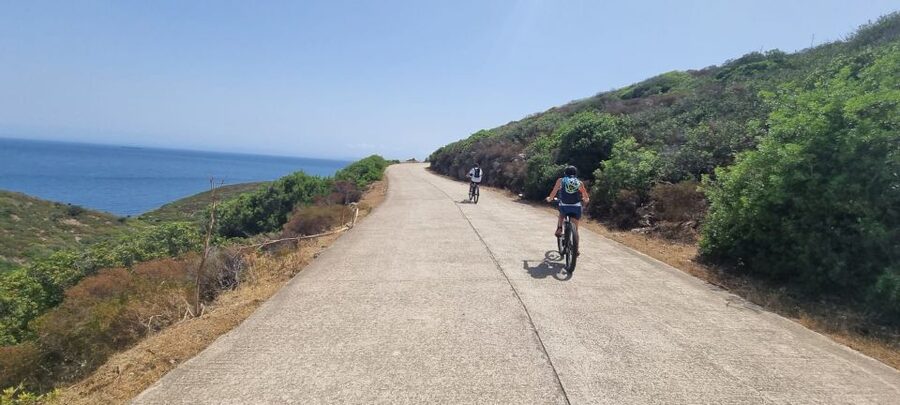 From Porto Torres: E-Bike Rental - Price and Value: What $56 Gets You (and What It Doesn’t)