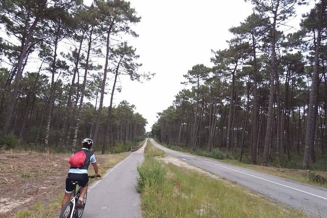 From Porto with view to Gaia: Private Bike Tour #DuckSideOfPorto - Miragaia: the Porto neighborhood feel before the ferry moment