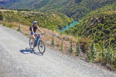 From Queenstown: 'Valley of the Vines' Wine and Bike Tour - Arrowtown Stroll and the Gold-Rush Switch-Up