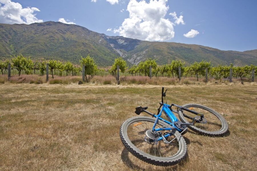 From Queenstown: 'Valley of the Vines' Wine and Bike Tour - Who Should Book This Tour (and Who Might Pass)