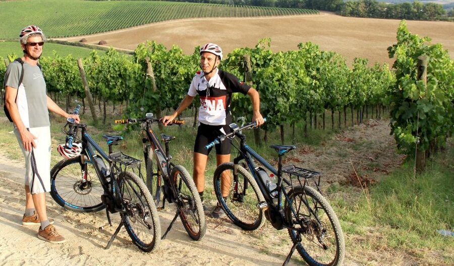 From Siena: Chianti Countryside E-Bike Tour w/ Lunch & Wine - Key things that make this tour worth your time