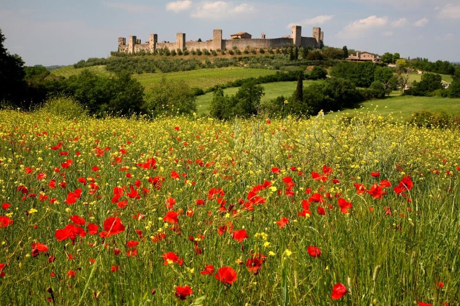 From Siena: Chianti Countryside E-Bike Tour w/ Lunch & Wine - Getting Started at Siena Train Station and Your E-Bike Setup