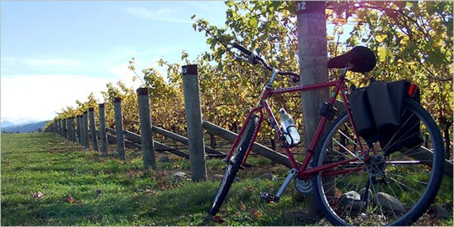 From Siena: Chianti Countryside E-Bike Tour w/ Lunch & Wine - Monteriggioni Fortress: 13th-Century Walls and a Dante Detail