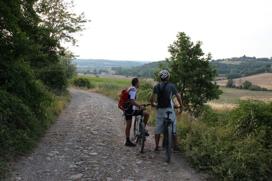 From Siena: Chianti Countryside E-Bike Tour w/ Lunch & Wine - FAQ