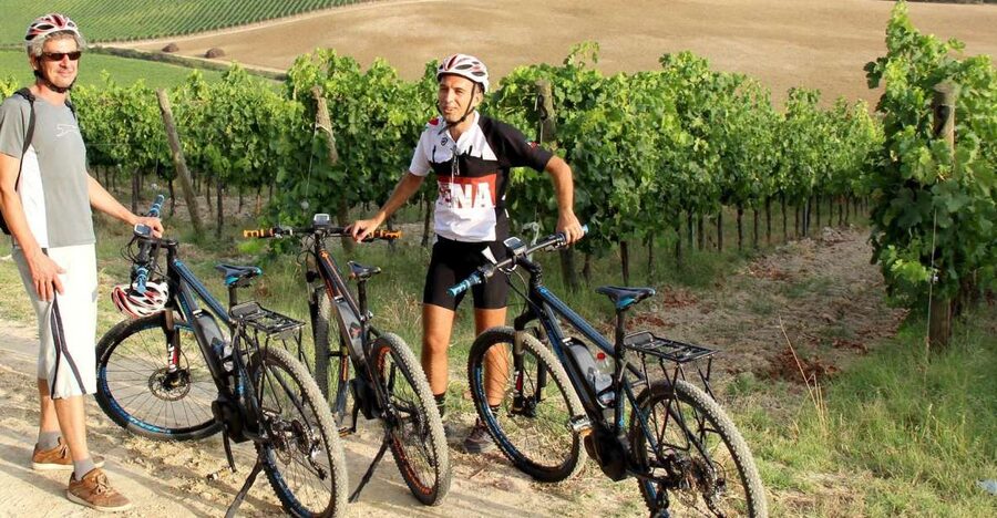 From Siena: Chianti Countryside E-Bike Tour w/ Lunch & Wine - Riding the Chianti Backroads: 20km, Shared Pace, Plenty of Stops
