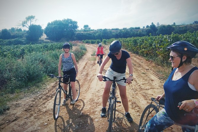 From Sitges: Bike Tour and Winery Visit with Free Hotel Pick Up. - Extra winery stops and a relaxed break (poolside vibes show up)