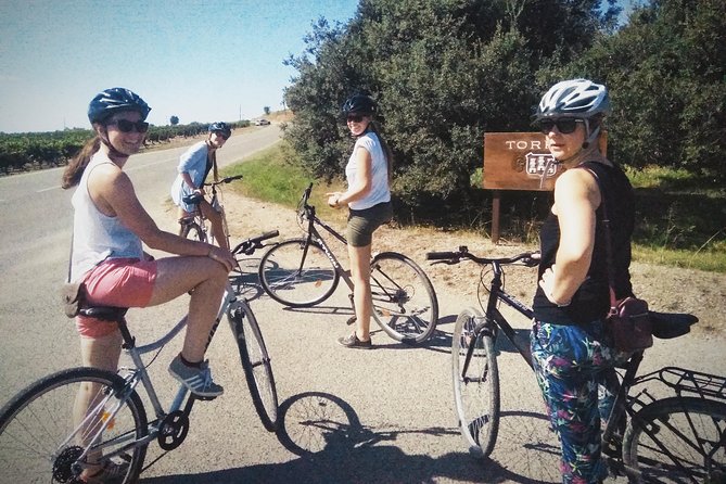 From Sitges: Bike Tour and Winery Visit with Free Hotel Pick Up. - Bikes, pace, and comfort: why this tour keeps earning 5-star ratings