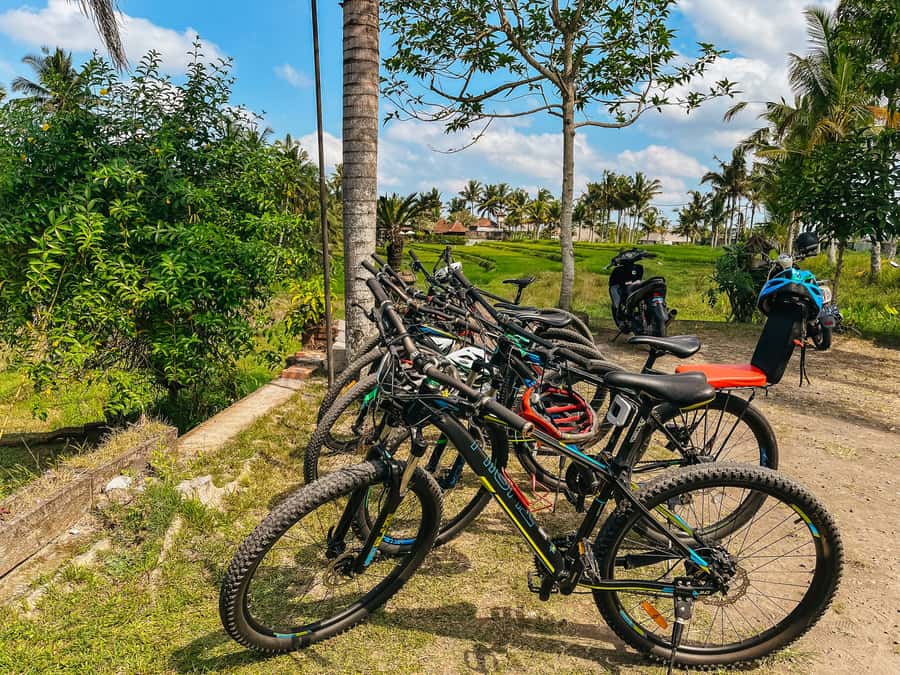 From Ubud: Downhill Bike Tour with Rice Terraces and Meal - Key highlights you’ll feel right away