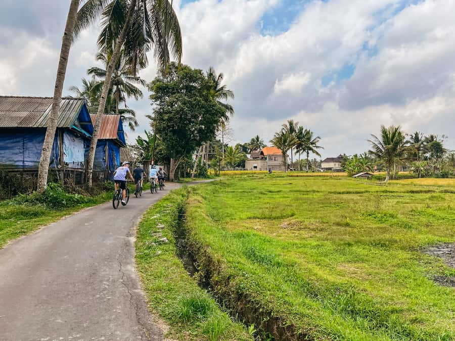 From Ubud: Downhill Bike Tour with Rice Terraces and Meal - Getting from Ubud to Kintamani: the ride begins before you pedal