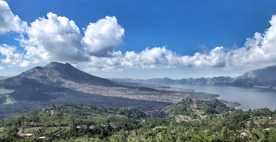 From Ubud: Downhill Bike Tour with Rice Terraces and Meal - Coffee plantation breakfast: a Bali start that isn’t just fuel