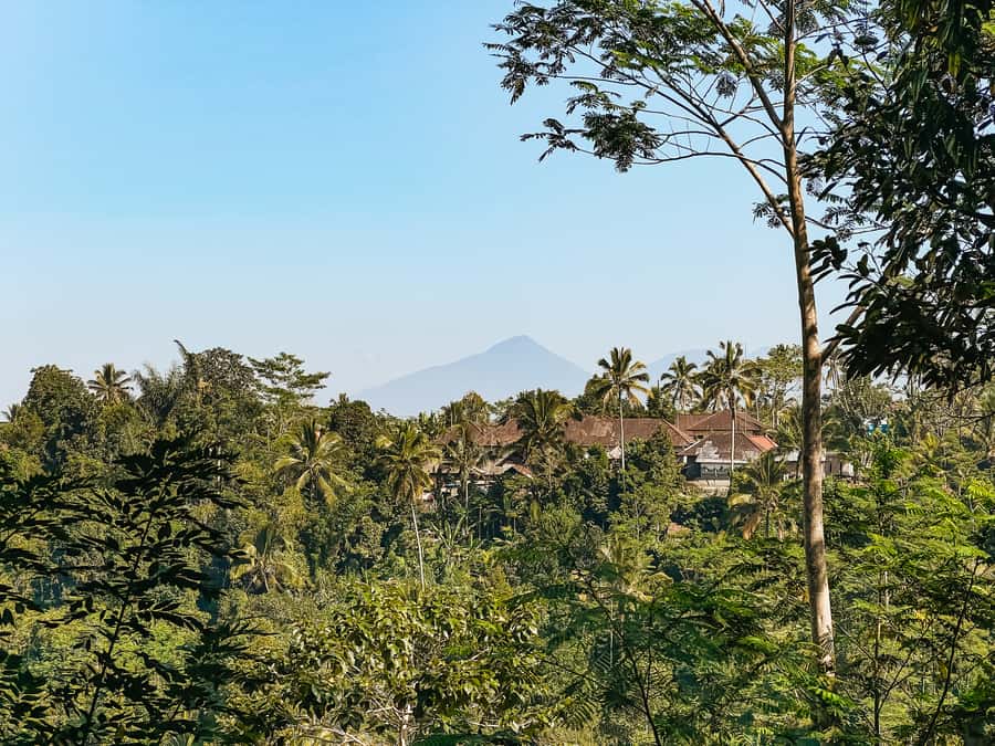 From Ubud: Downhill Bike Tour with Rice Terraces and Meal - Lunch in Ubud: refuel like a local, not a rushed tourist