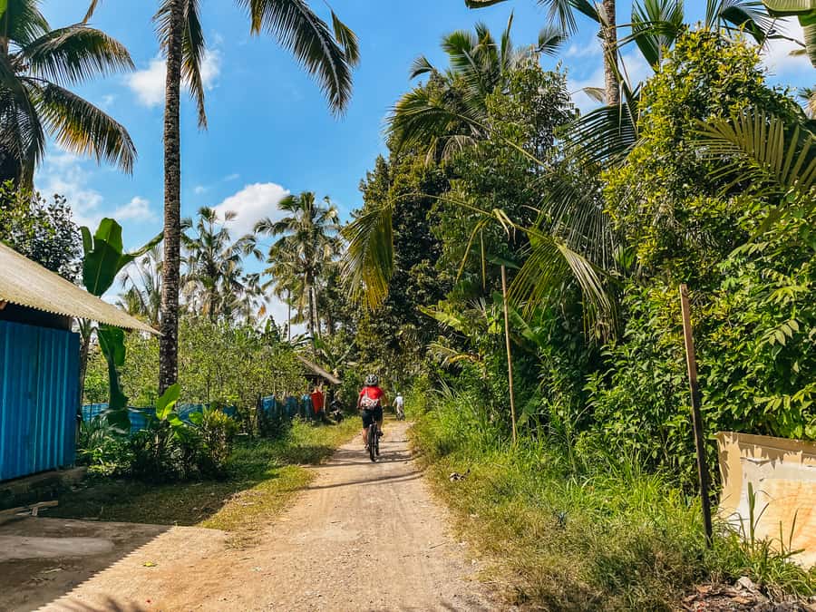 From Ubud: Downhill Bike Tour with Rice Terraces and Meal - Guides matter: why Wayan and Agus-style storytelling elevates the ride