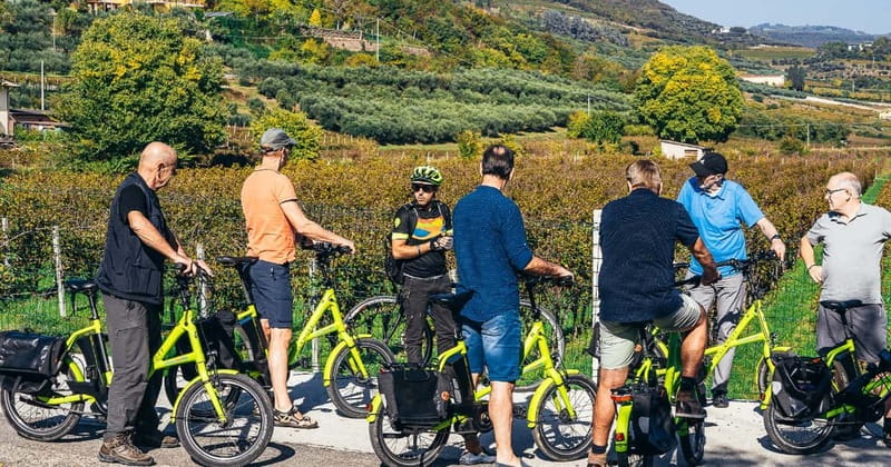 From Verona: Amarone Wine E-Bike Tour with Tasting - Key Points Before You Go