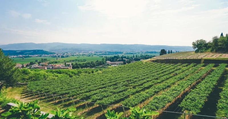 From Verona: Amarone Wine E-Bike Tour with Tasting - Tips to Make the Ride Feel Smooth