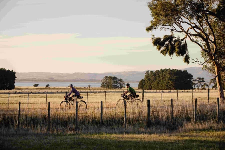 From Wellington: Remutaka Rail Trail eBike Tour - Key Highlights You’ll Actually Notice