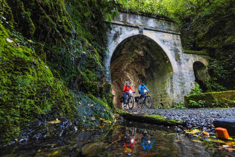 From Wellington: Remutaka Rail Trail eBike Tour - Why the Remutaka Rail Trail eBike Ride Feels Special