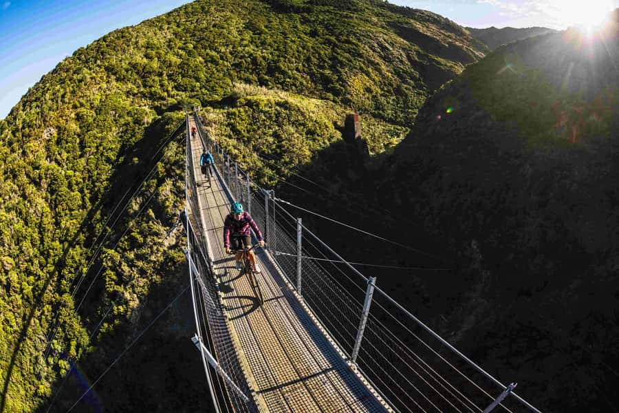 From Wellington: Remutaka Rail Trail eBike Tour - On the Bikes: Setup, Headlights, and the Self-Guided Feel