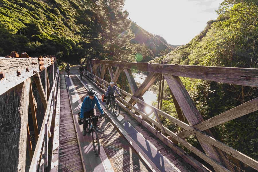 From Wellington: Remutaka Rail Trail eBike Tour - Tunnels and Bridges: Where the Scenic Thrill Really Hits
