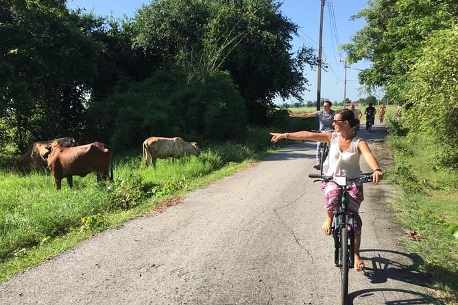 Full Day Cycling tour to Sukhothai Historical Park - Cycling into the historical park: what’s included (and why it matters)