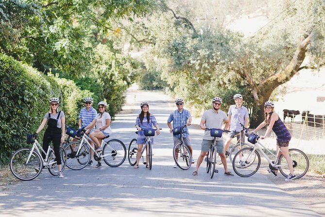 Full-Day Napa Winery E-Bike Tour (with Picnic Lunch) - The E-Bike Ride: 3–6 Miles Between Wineries (And You Still Pedal)