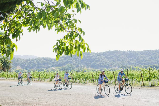 Full-Day Napa Winery E-Bike Tour (with Picnic Lunch) - Materra Cunat Family Vineyards: Oak Knoll Terroir And the Meaning of Materra