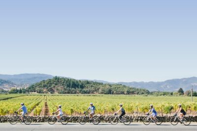 Full-Day Napa Winery E-Bike Tour (with Picnic Lunch) - Two Winery Visits In Napa Valley: What Advance Appointments Actually Do For You