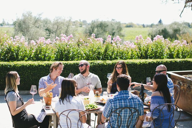 Full-Day Napa Winery E-Bike Tour (with Picnic Lunch) - Support, Safety, and the Van That Saves Your Arms