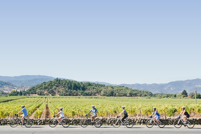 Full-Day Napa Winery E-Bike Tour (with Picnic Lunch) - Two Winery Visits In Napa Valley: What Advance Appointments Actually Do For You
