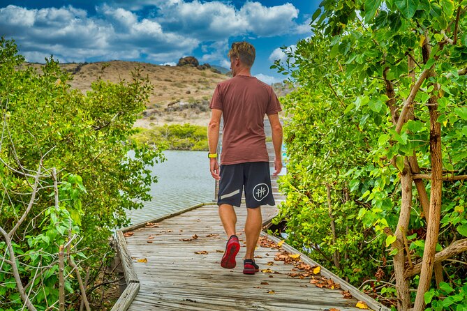 Gem of The Island Tour with E-Bike - E-Bikes, Assist, and Gear Tips: What to Expect When You Ride