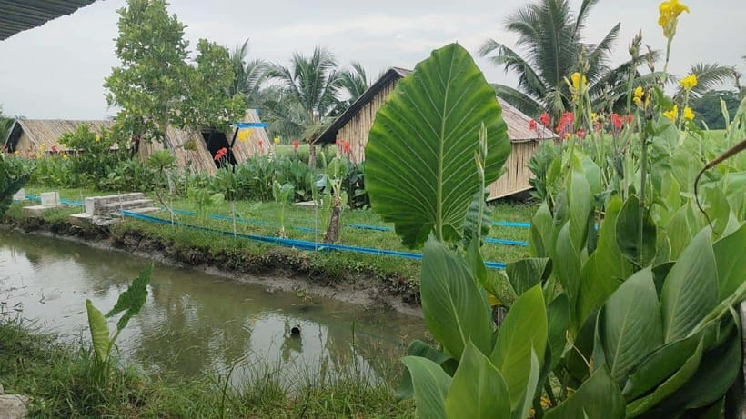 George Town: Balik Pulau Countryside Morning Cycling Tour - Who this tour suits (and who should skip it)
