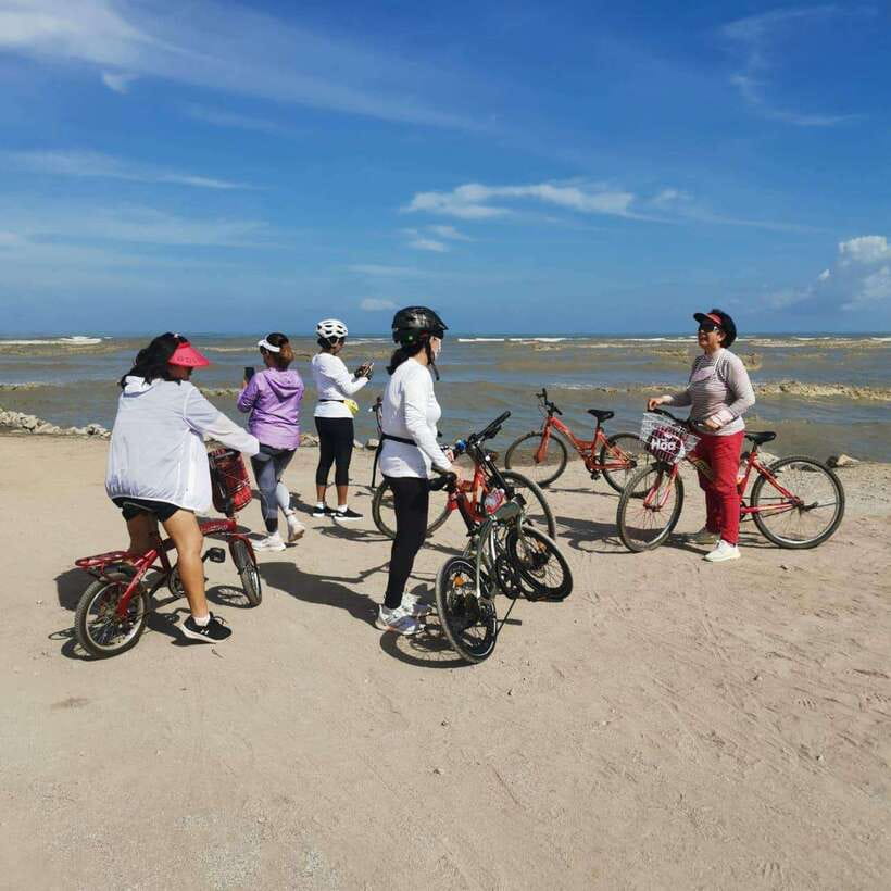 George Town: Balik Pulau Countryside Morning Cycling Tour - Container art and photo stops that feel like part of the day