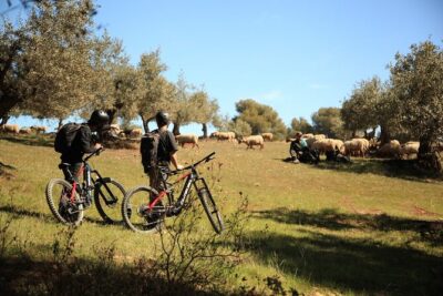 Granada: Nature, Wildlife and Authentic Villages E-bike Tour - Meeting Point at Bar La Trastienda and a Smooth Start