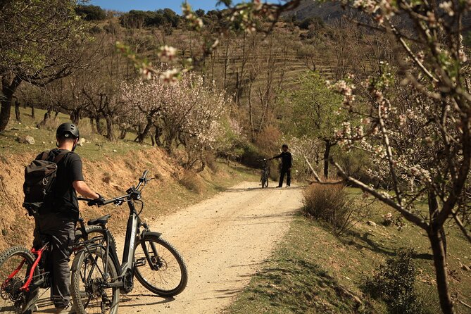 Granada: Nature, Wildlife and Authentic Villages E-bike Tour - E-bike comfort and control: how moderate fitness really plays out