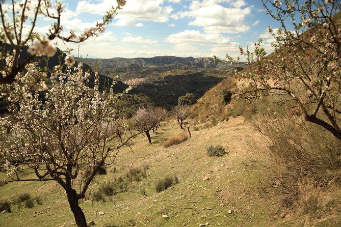 Granada: Nature, Wildlife and Authentic Villages E-bike Tour - Price and value: what $95.34 buys you in real time
