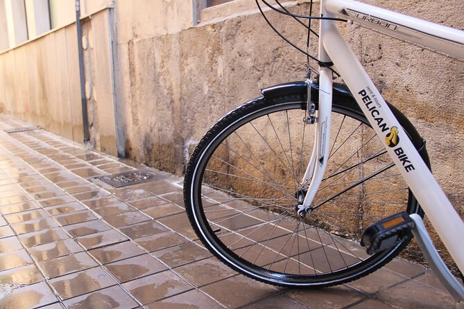 GRAND CITY Private Guided Tour on Bike, E-Bike, E-Step or Segway - Medieval Walls to Green Space: Torres dels Serrans and the Turia Break