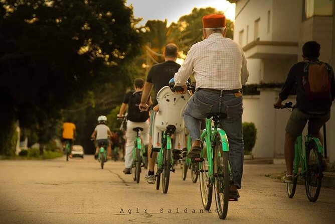 Group Guided Bike Tour of Carthage Archeological Site in Tunisia - Key Highlights at a Glance